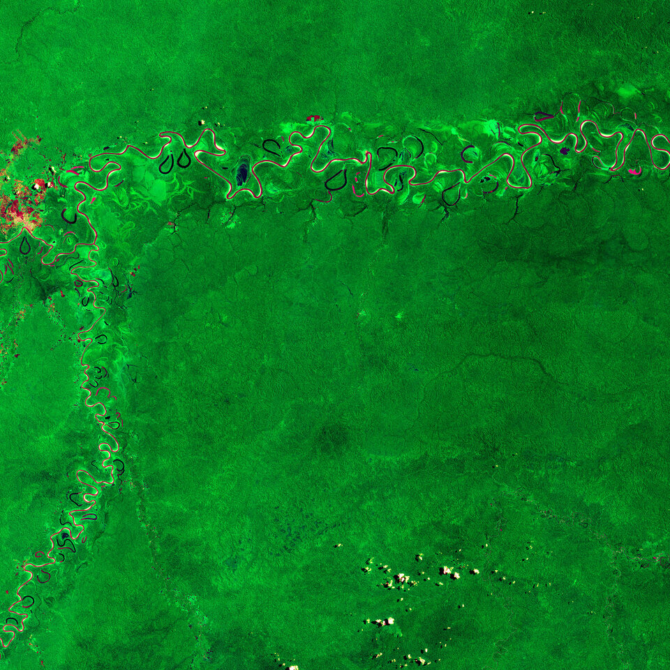 amazzonia
