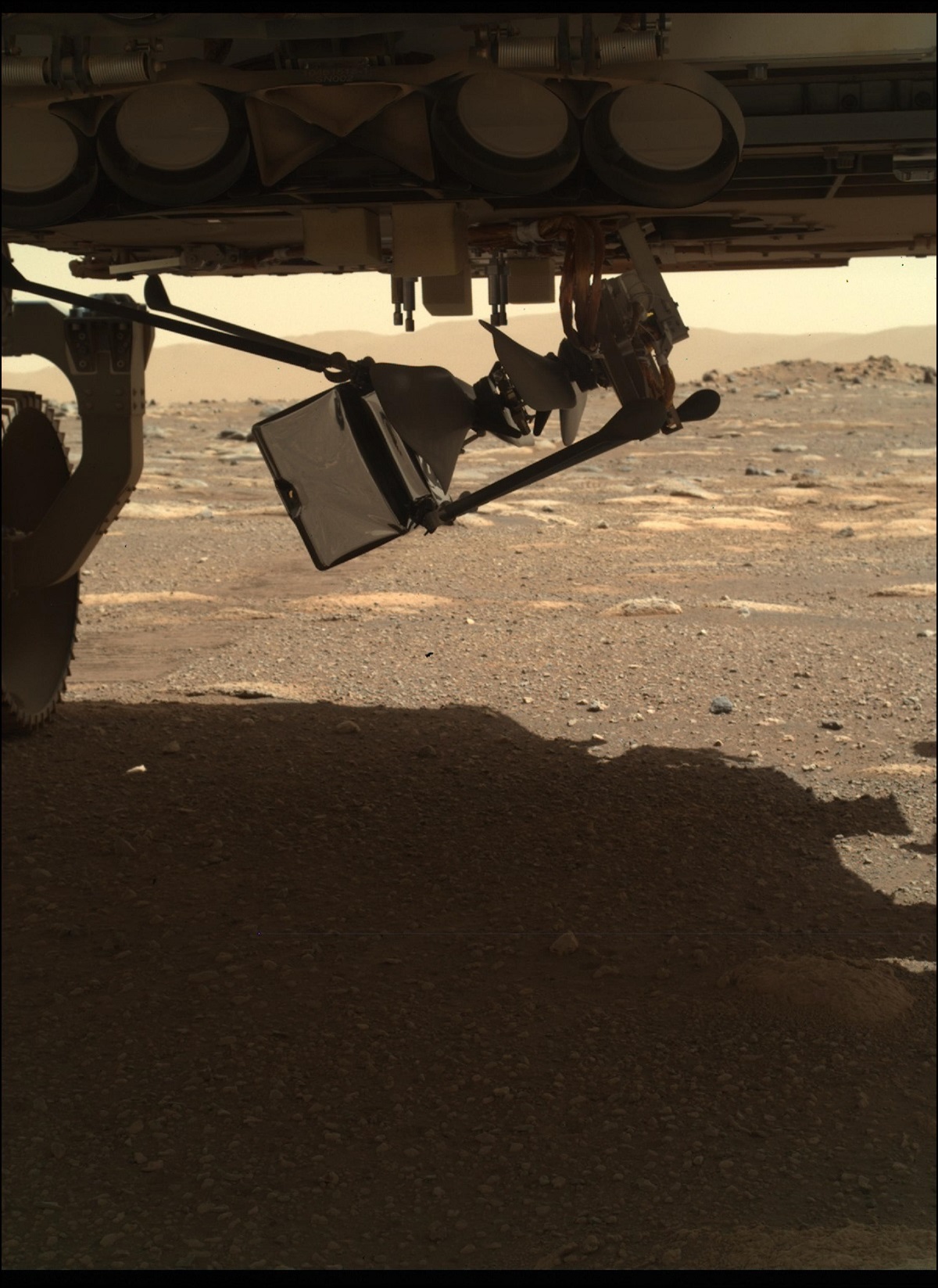 elicottero ingenuity marte