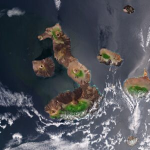 galapagos