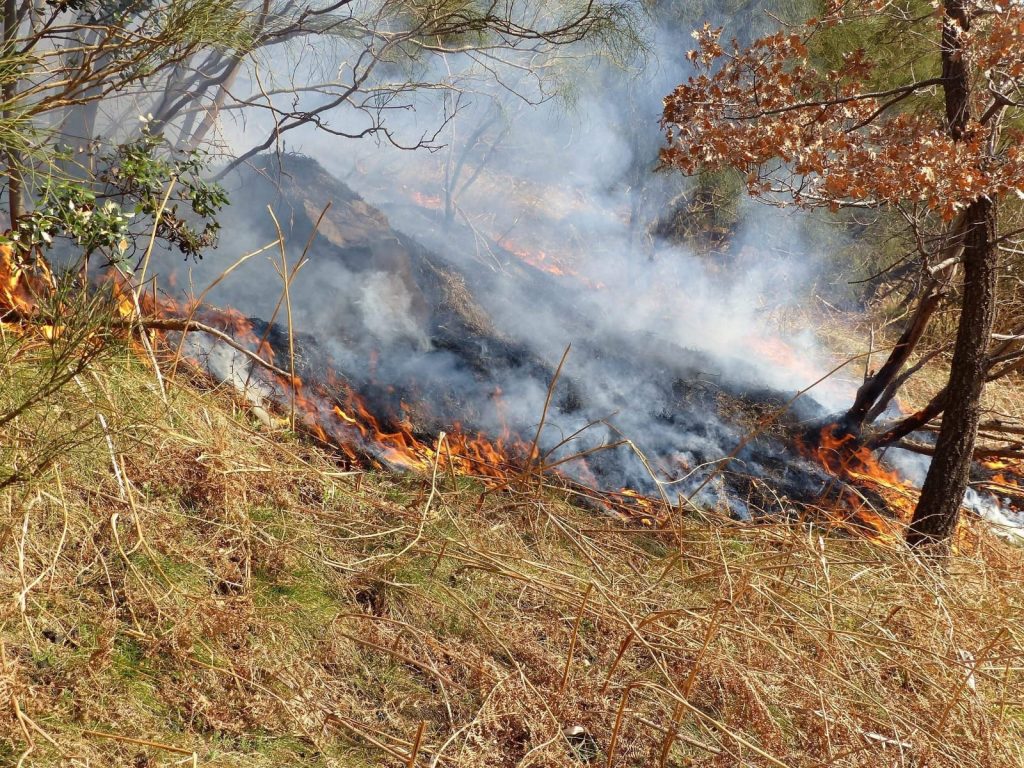incendio etna 28 febbraio 2021