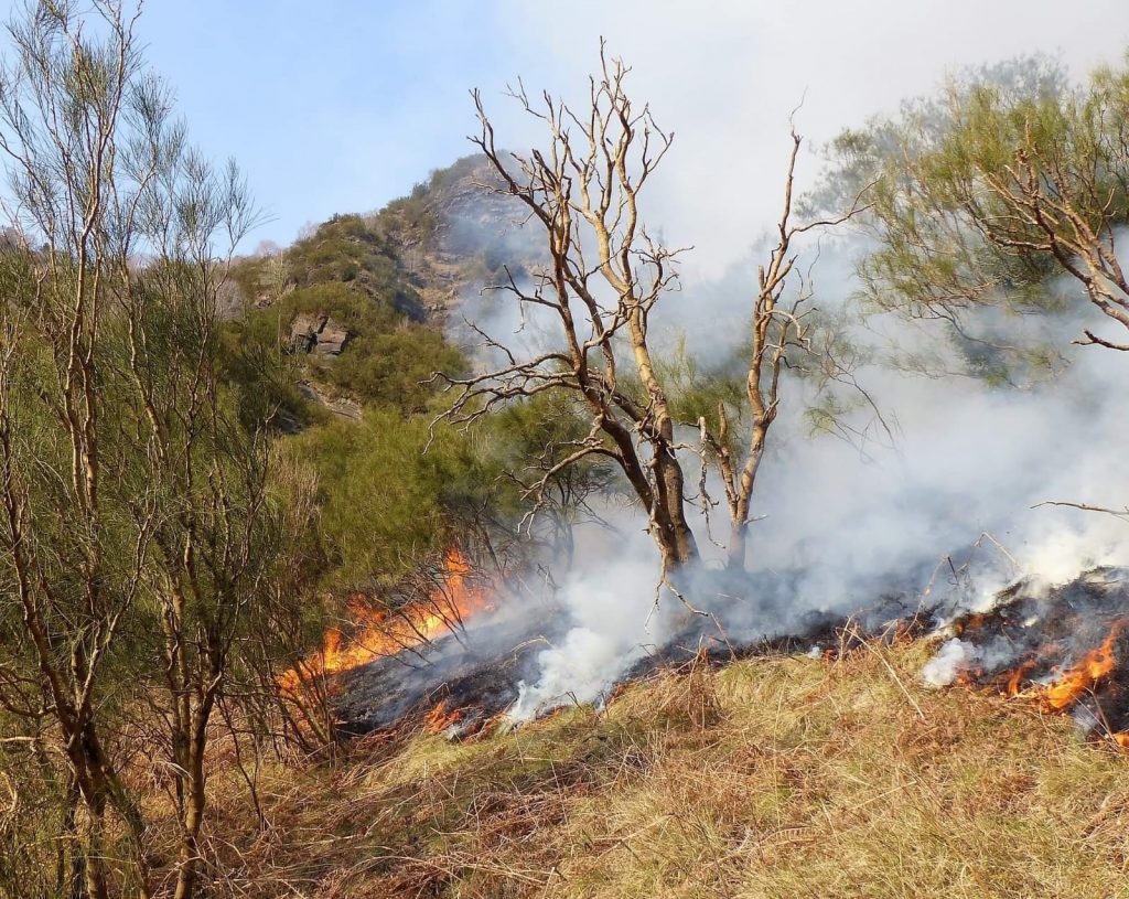 incendio etna 28 febbraio 2021