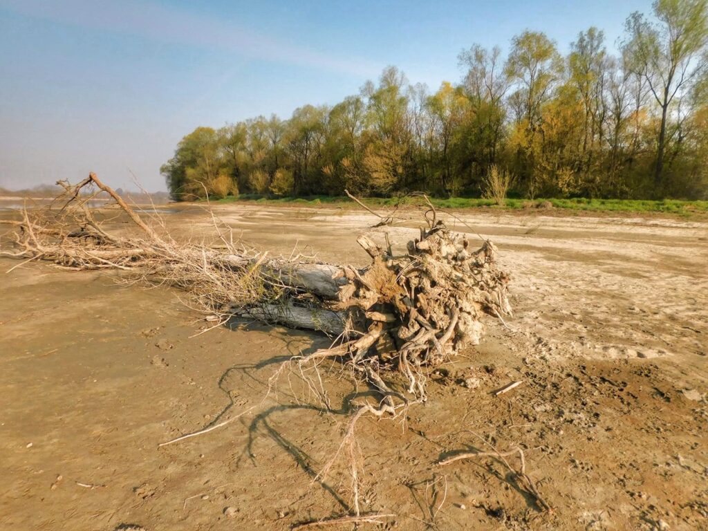ponte della becca siccità po marzo 2021 3