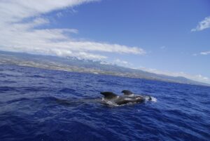 tenerife