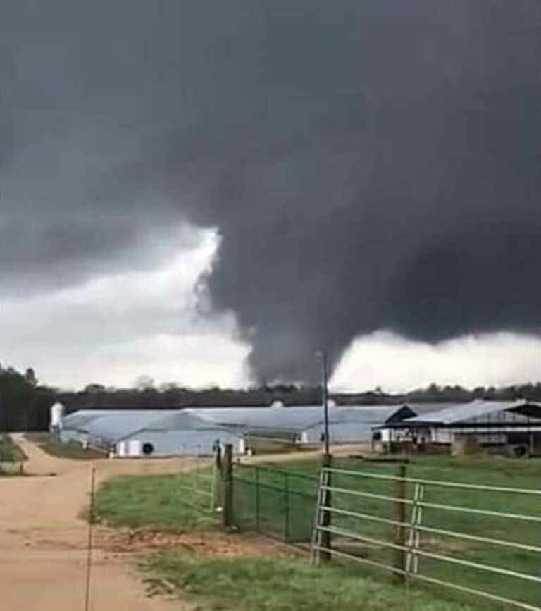 tornado usa (4)