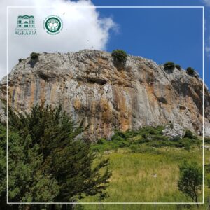 AgrariaUniRC progetto VR@Geoparks