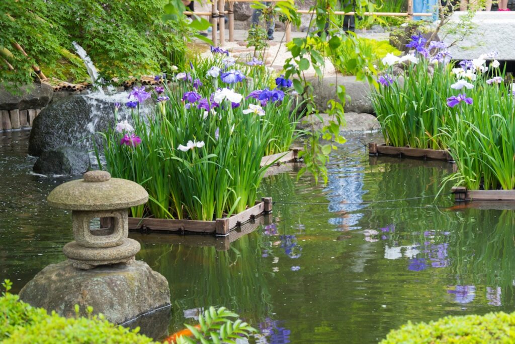 acqua giardino giapponese