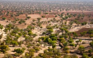 valle souss