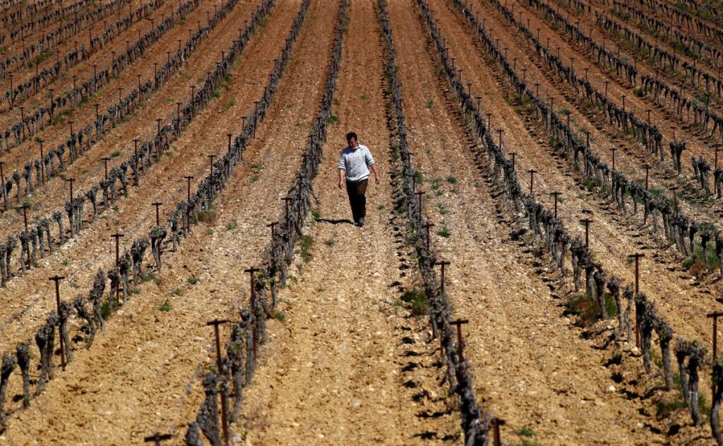 catastrofe agronomica francia