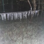 Meteo, temperature fino a -9°C e gelate in Veneto: colture devastate dal freddo, azzerata la produzione di kiwi nel Veronese [FOTO]