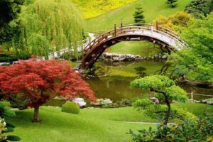 giardino giapponese 