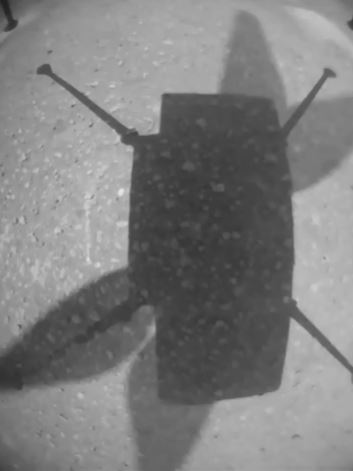ingenuity ombra