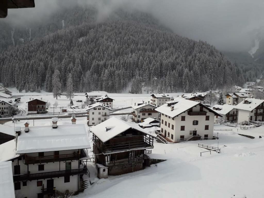 neve falcade dolomiti belluno veneto (6)