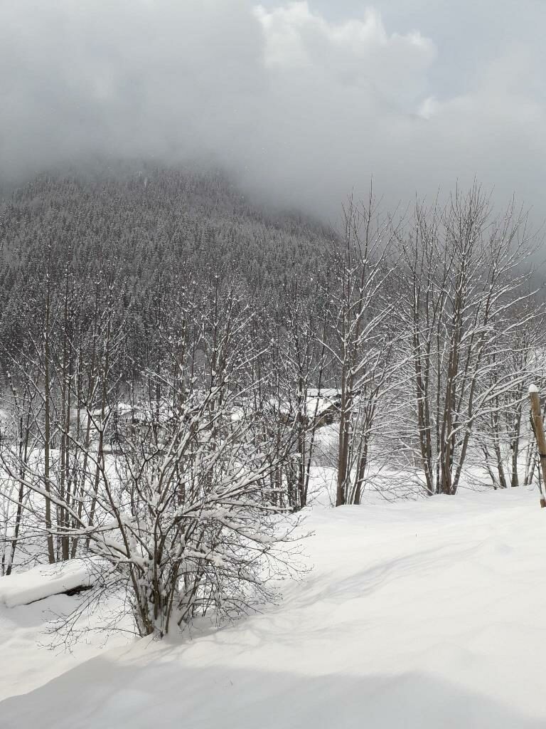 neve falcade dolomiti belluno veneto (6)
