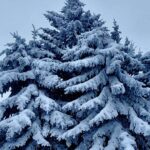 Maltempo Piemonte: lo spettacolo di Sestriere ricoperta da 30-35cm di neve [FOTO e VIDEO]