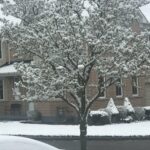 Meteo, rara nevicata d’aprile imbianca Toronto: -1°C in città dopo i +20°C di qualche giorno fa [FOTO e VIDEO]