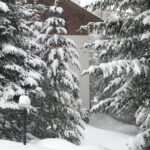 Maltempo Lombardia, torna la neve in Valtellina e Valchiavenna: crollo delle temperature, fitta nevicata a Livigno [FOTO e VIDEO]