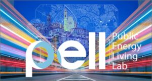 pubblica illuminazione pell