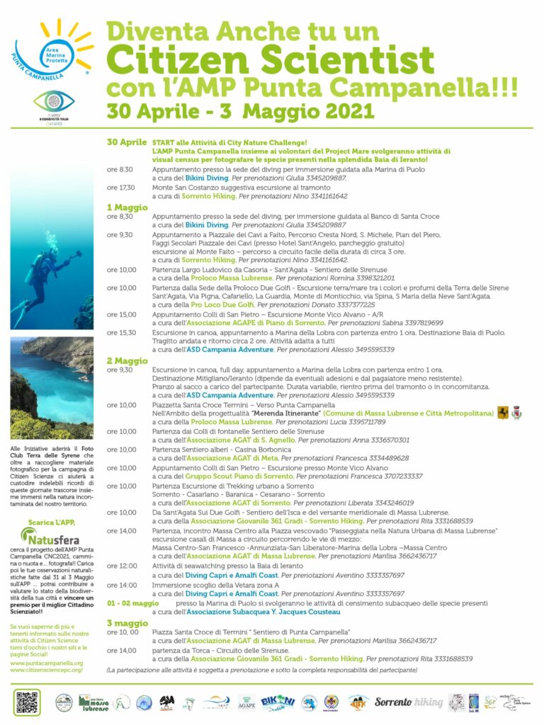 punta campanella