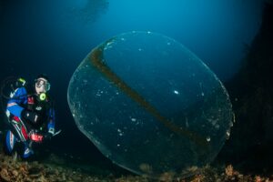 sfera gelatinosa punta campanella