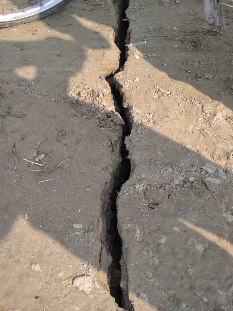 terremoto india