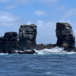 Crollato il Darwin’s Arch nelle Galapagos: della celebre formazione rocciosa rimangono solo 2 colonne [FOTO]