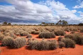 Great Victoria Desert australia
