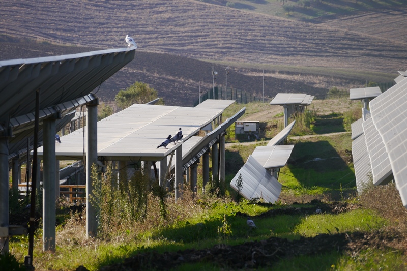 Agrivoltaico