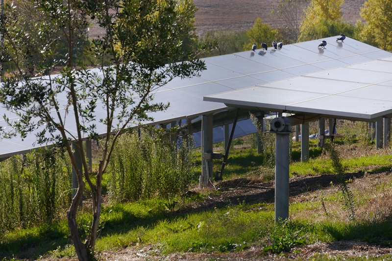 Agrivoltaico