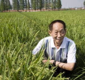 Yuan Longping