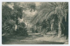 antico orto botanico messina