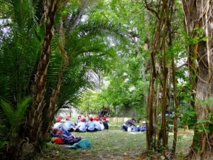 attività didattica orto botanico messina