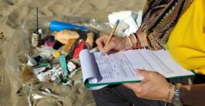 beach litter