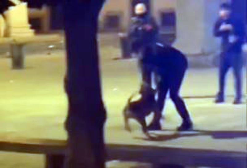 carabiniere spara cane