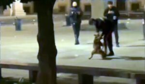 carabiniere spara cane