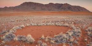 cerchi delle fate namibia