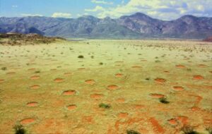 cerchi fate namib