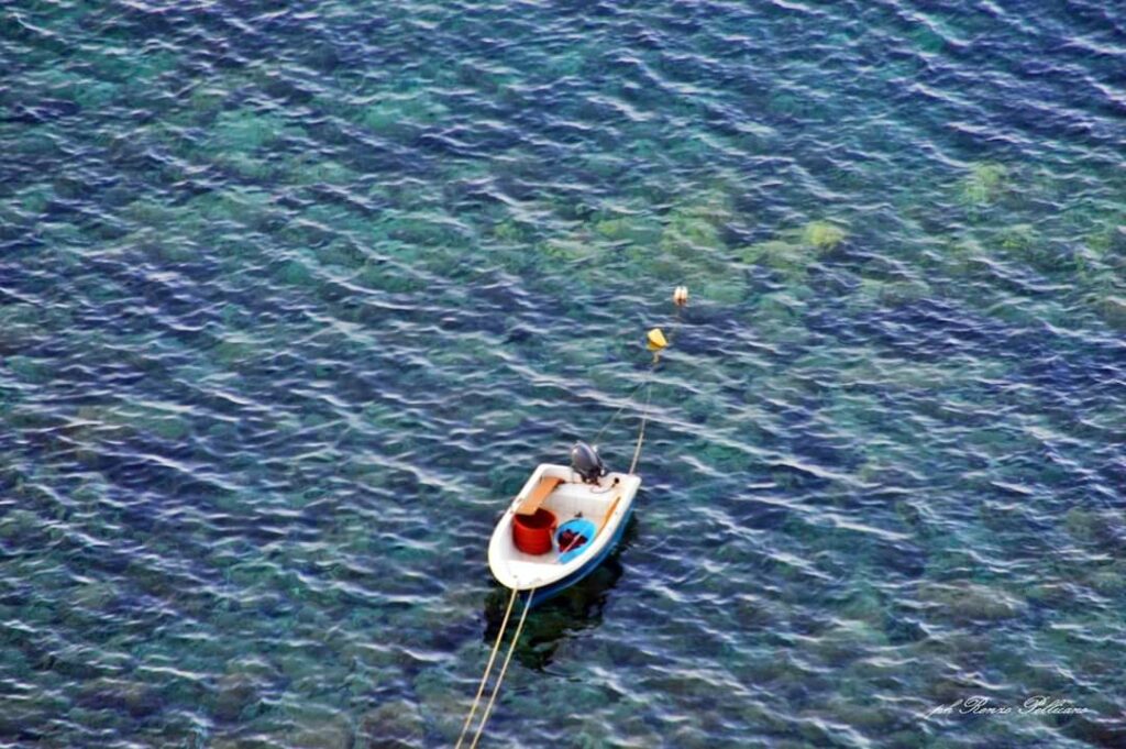 foto Scilla Renzo Pellicano 9 maggio