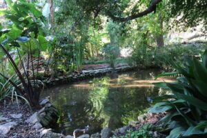 laghetto orto botanico messina