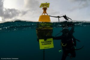 mare caldo greenpeace