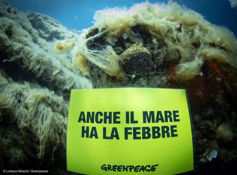 mare caldo greenpeace