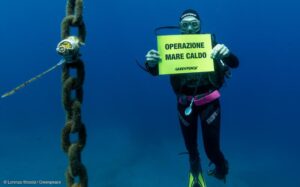 mare caldo greenpeace
