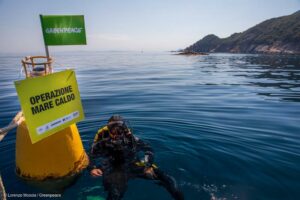 mare caldo greenpeace