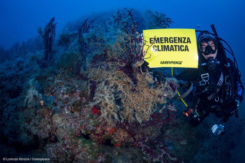 mare caldo greenpeace