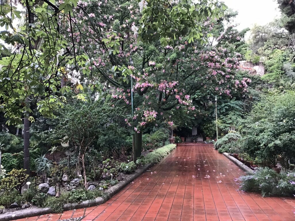 orto botanico messina