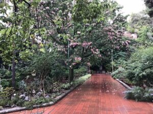 orto botanico messina