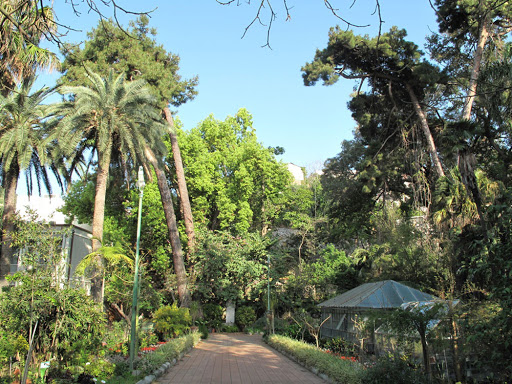 orto botanico messina pietro castelli