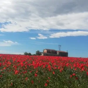 primavera Puglia Basilicata