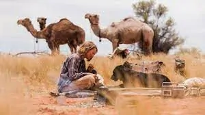 tracks attraverso il deserto