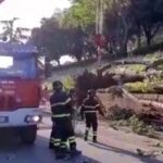 Maltempo Toscana, forti venti e mareggiate lungo le coste: albero cade su 3 auto a Firenze [FOTO]