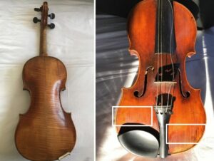 violino